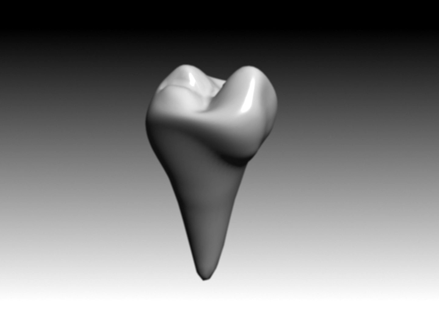 second premolar mandibular.3DS