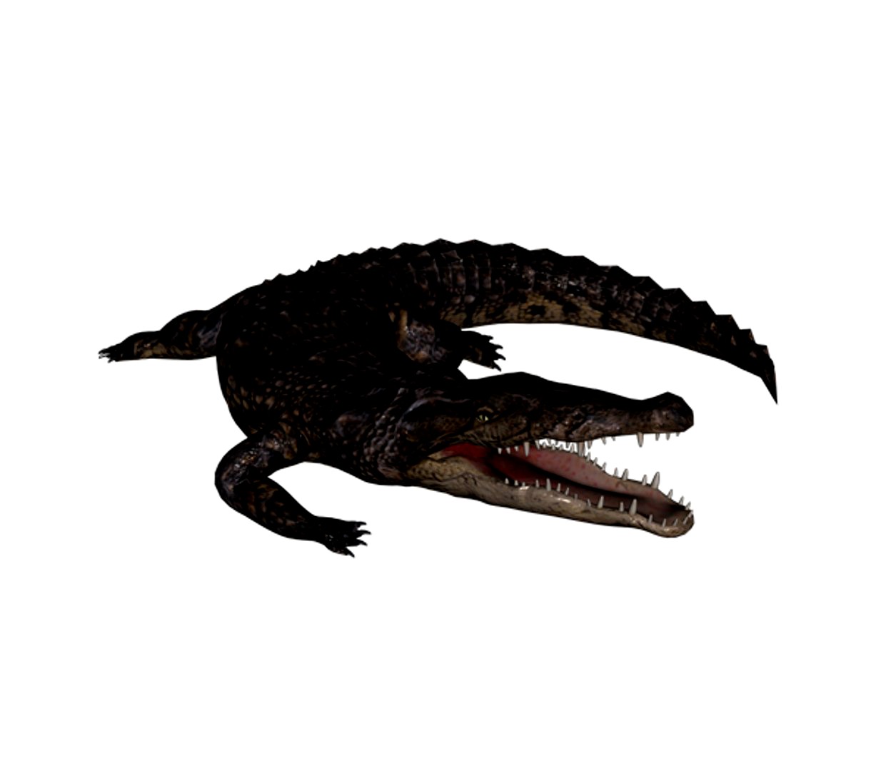 Croco