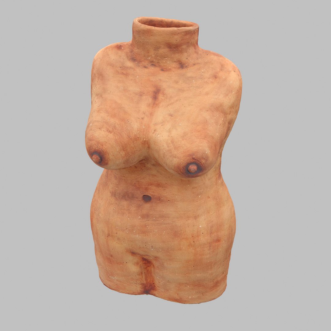 Torso