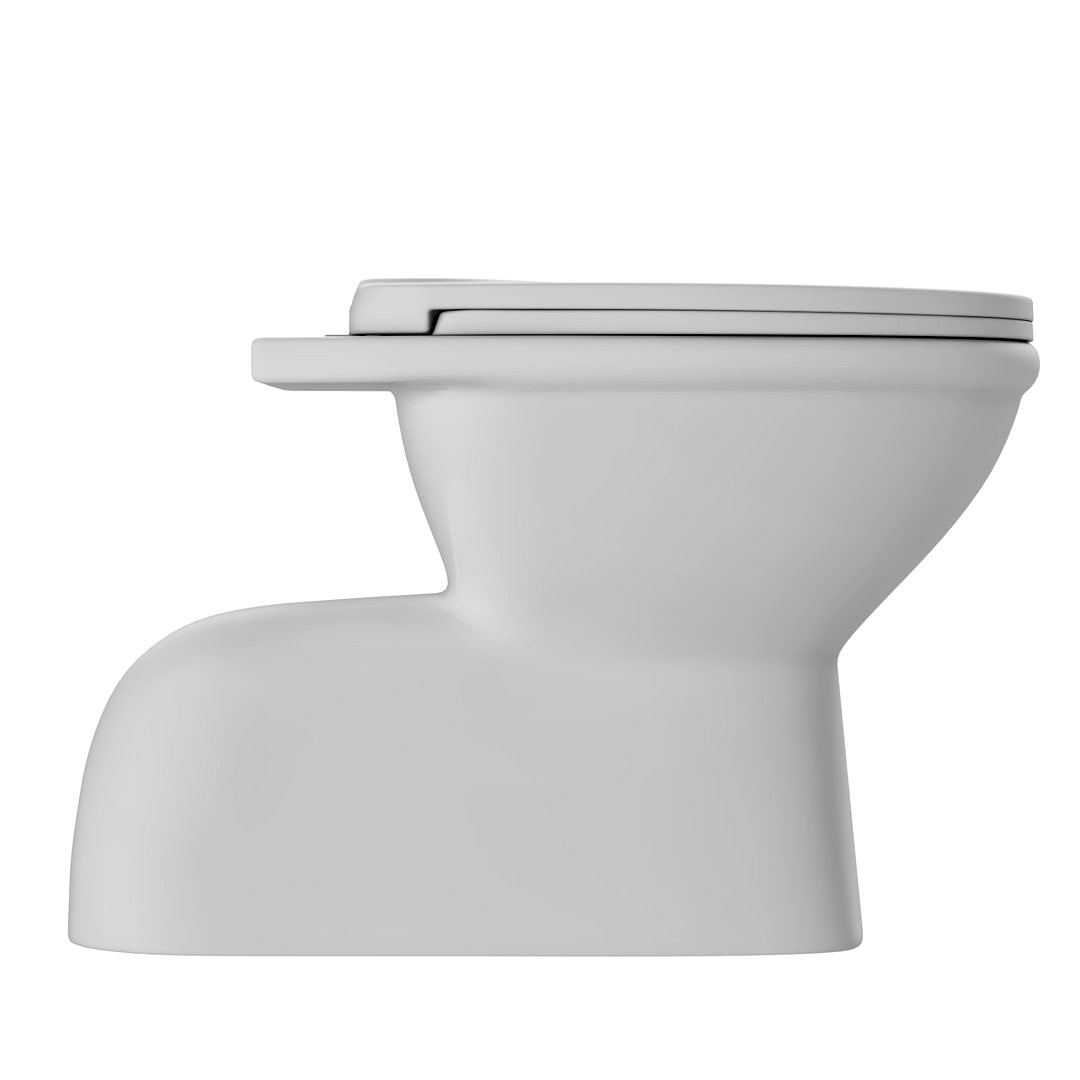 Floor Mount EWC toilet