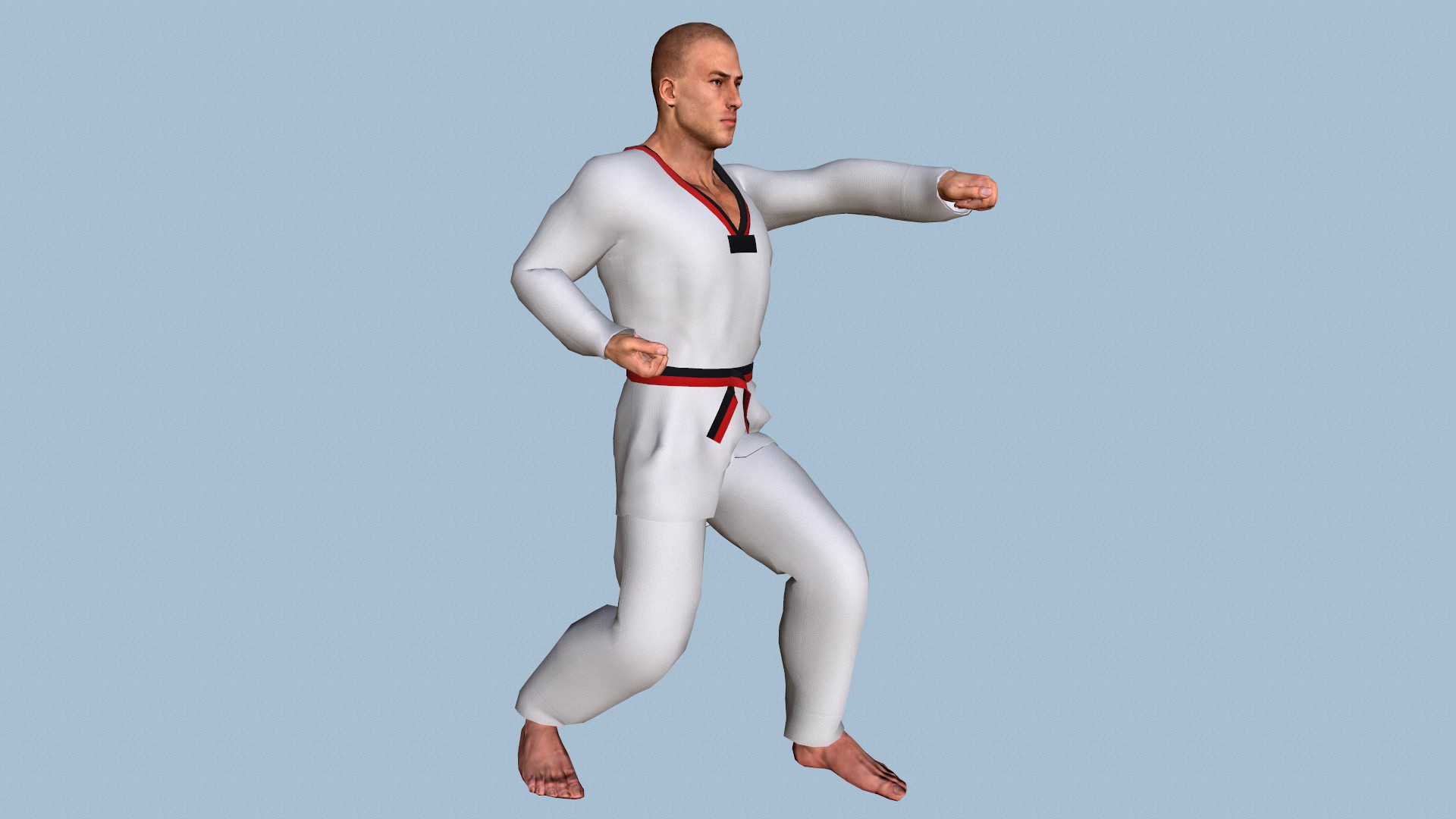 Taekwondo fighter