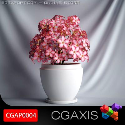 CGAXIS plant 04 3D Model