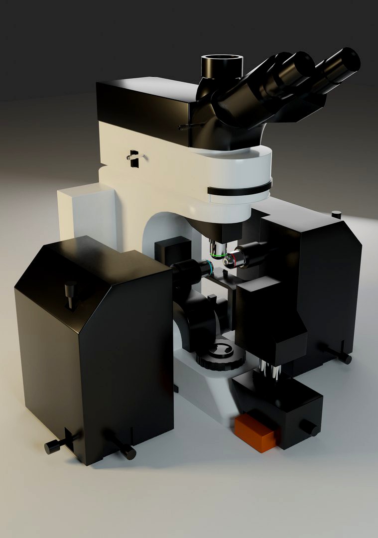 Fluorescence Microscope