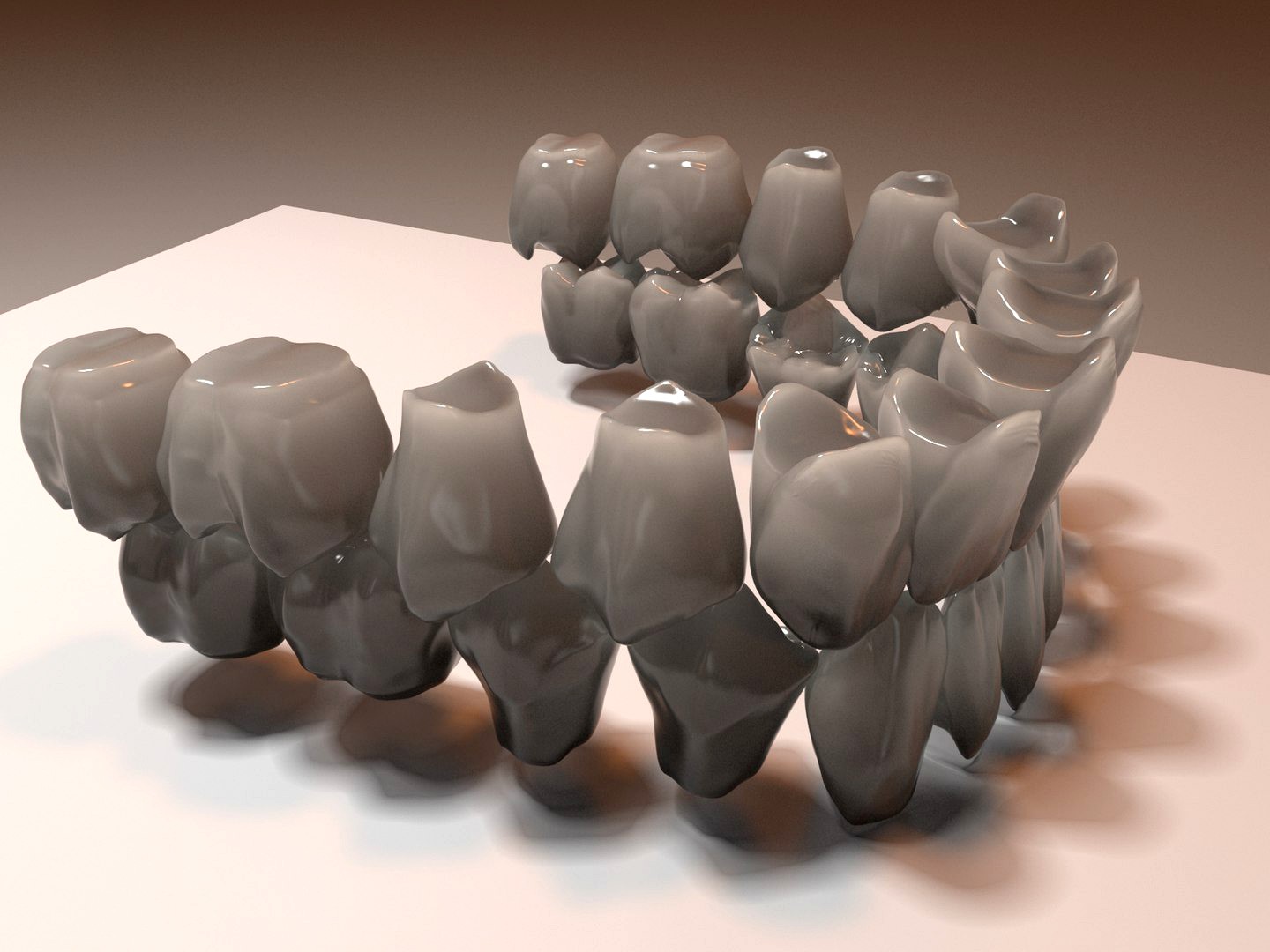 Teeth anatomical model