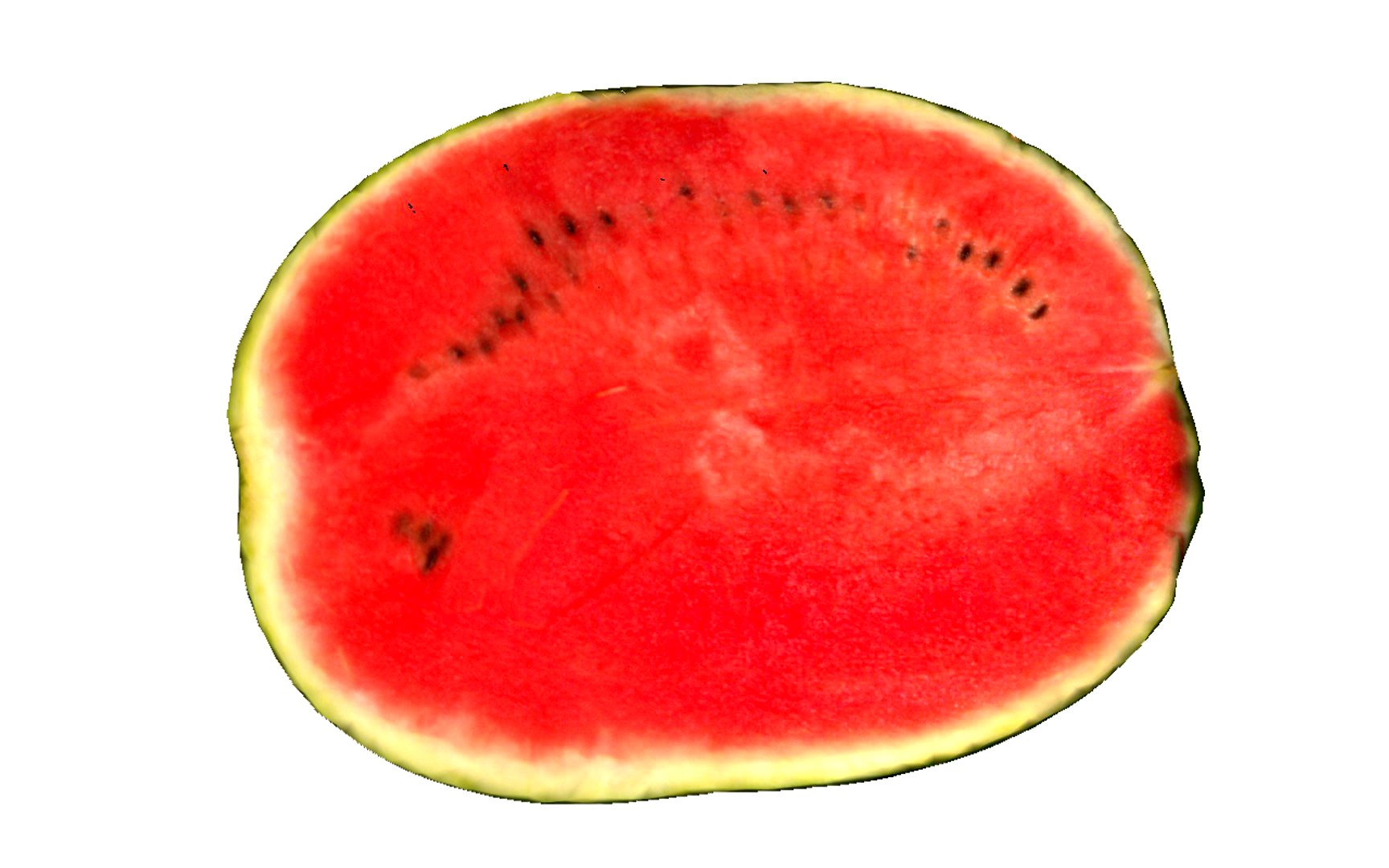 Half watermelon