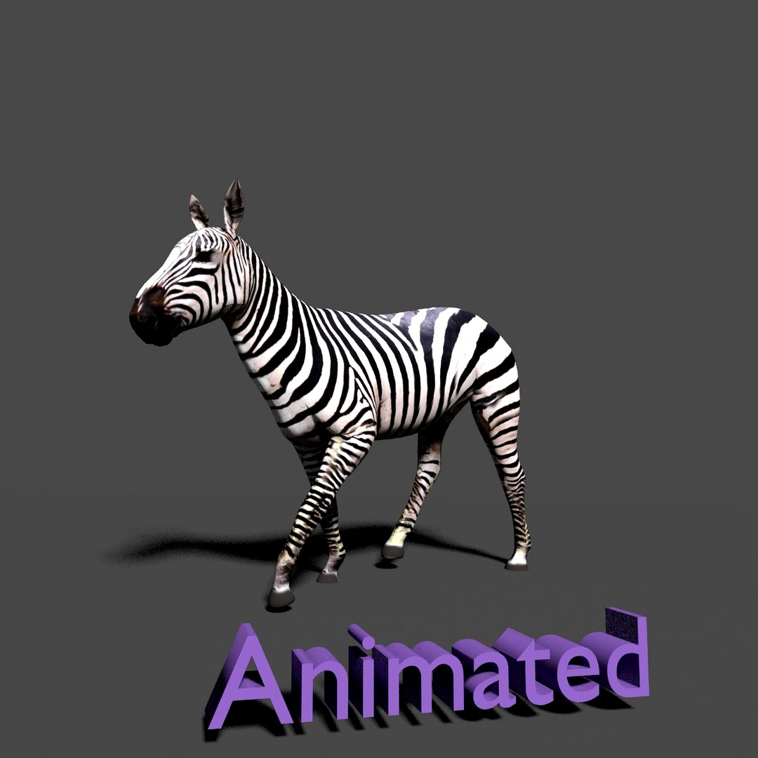 zebra