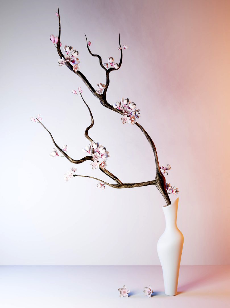 Sakura twigs
