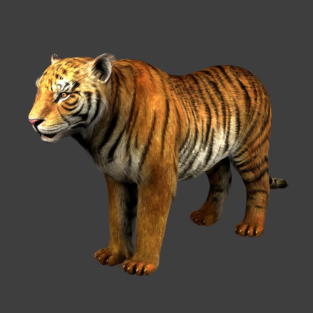Riging Tiger (Fur)