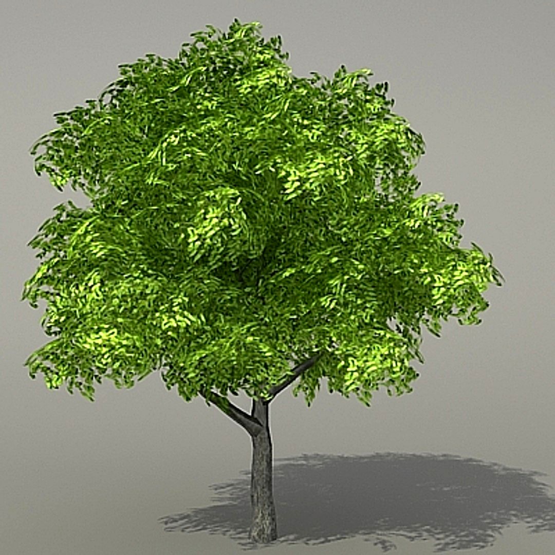 Tree s3 3ds