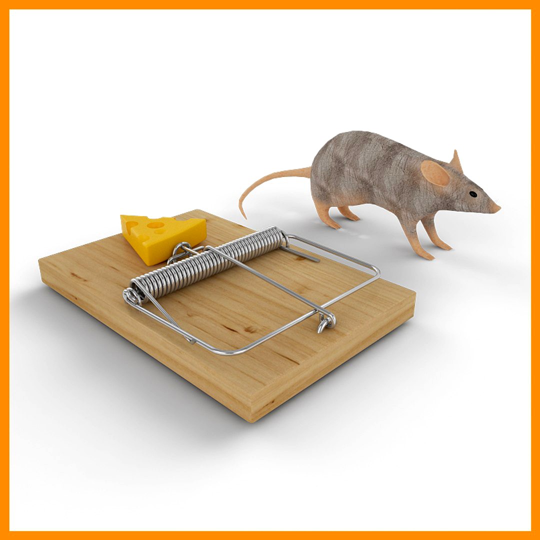 mouse trap with mouse