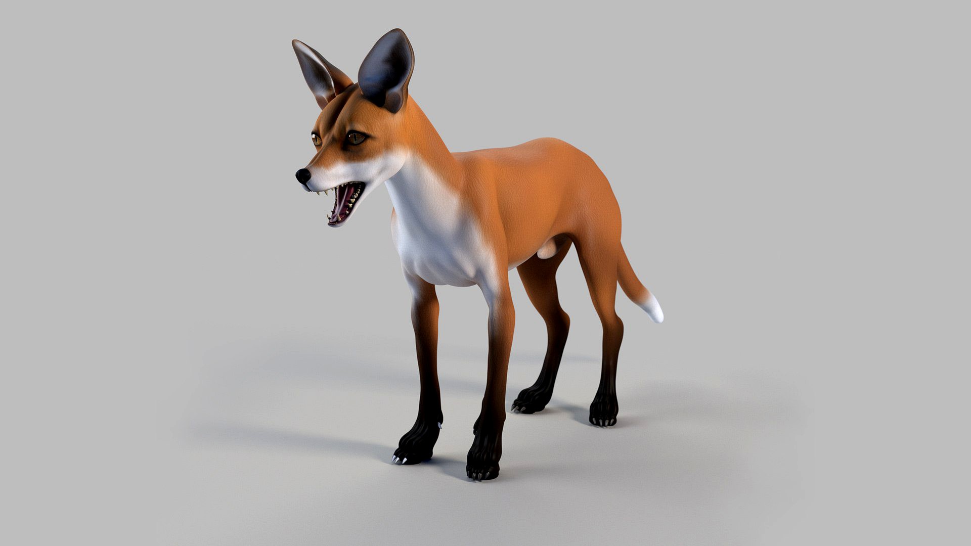 fox