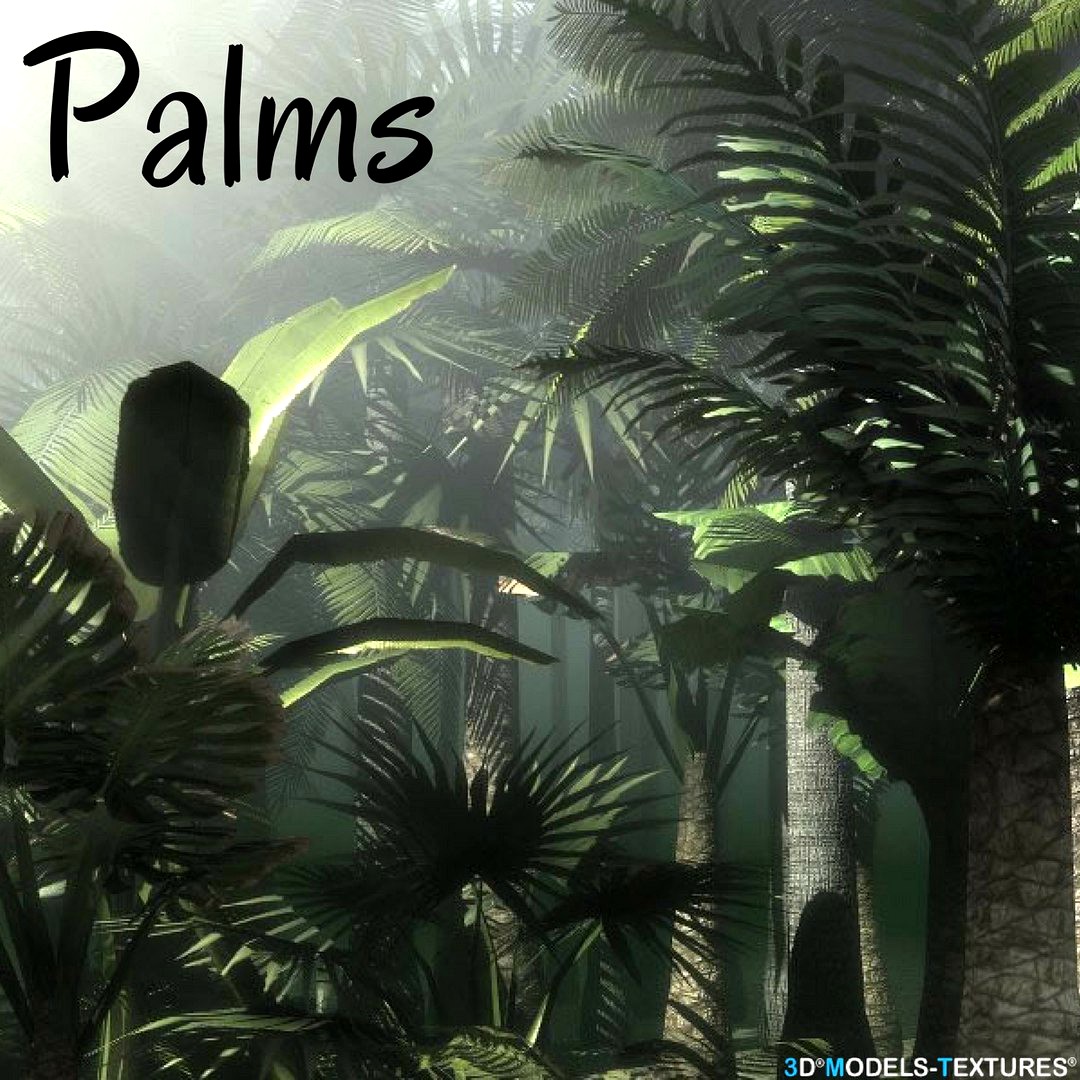 Palms