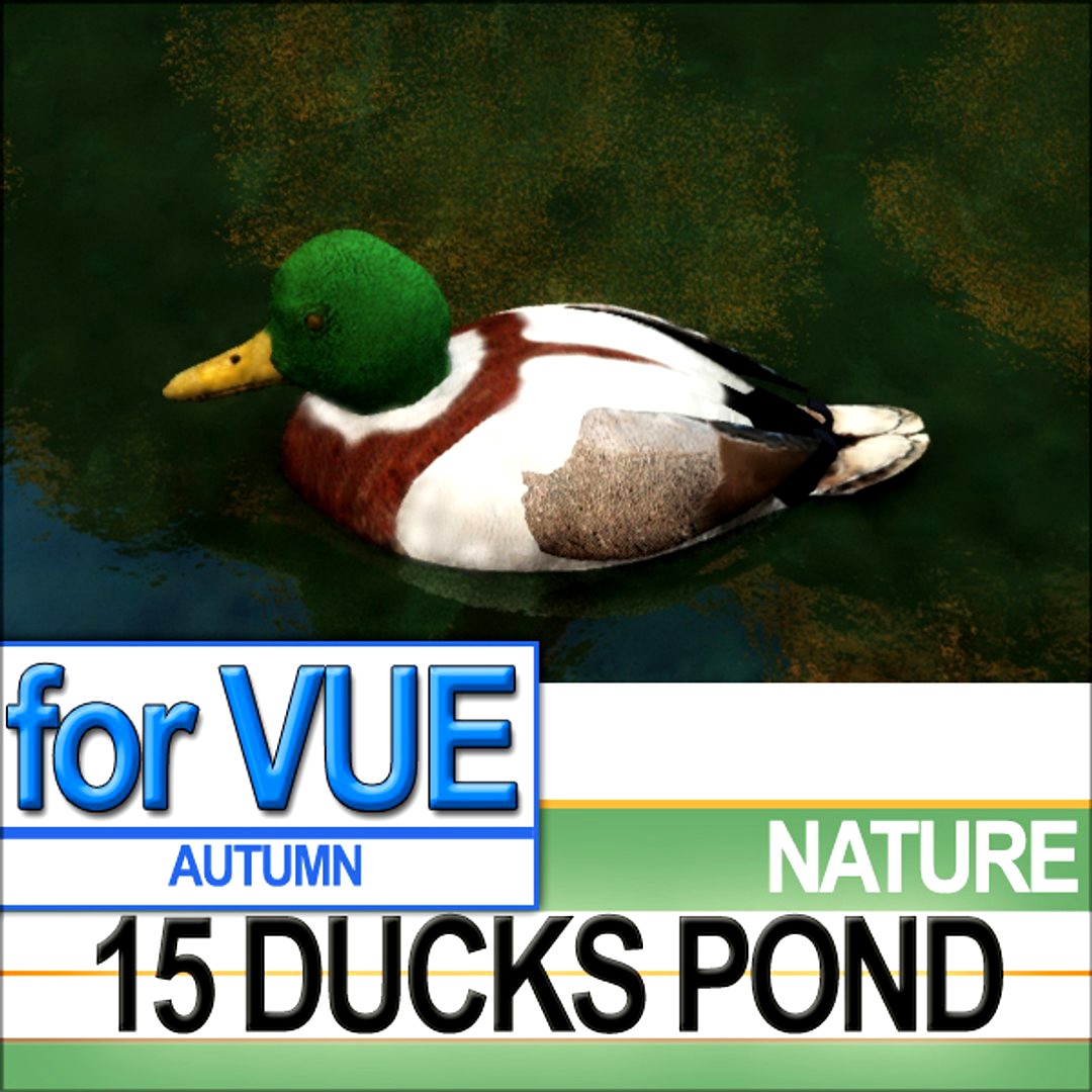 15 Ducks 15 Pond [Ducks and Set]