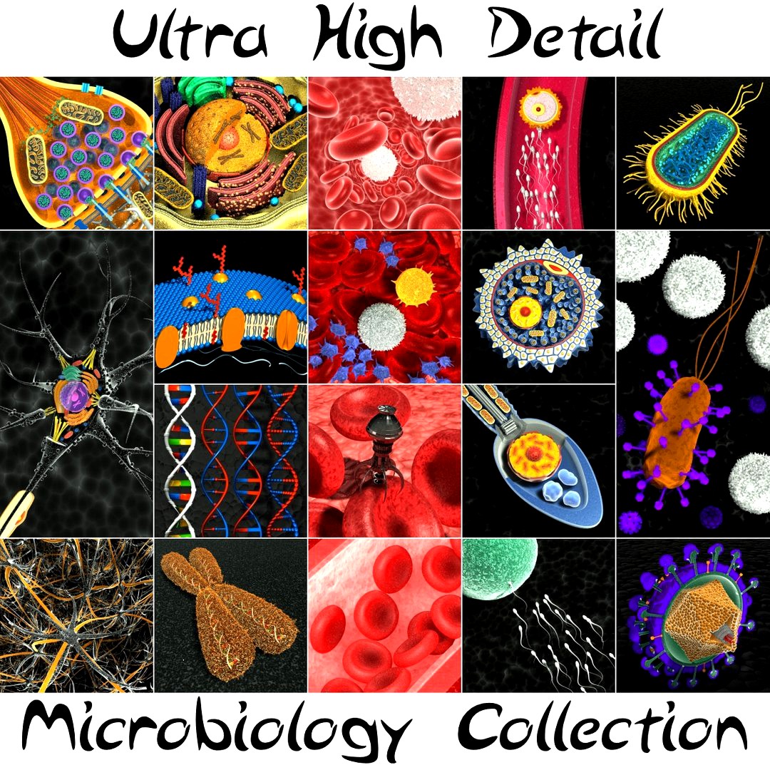 Ultra High Detail Microbiology Collection