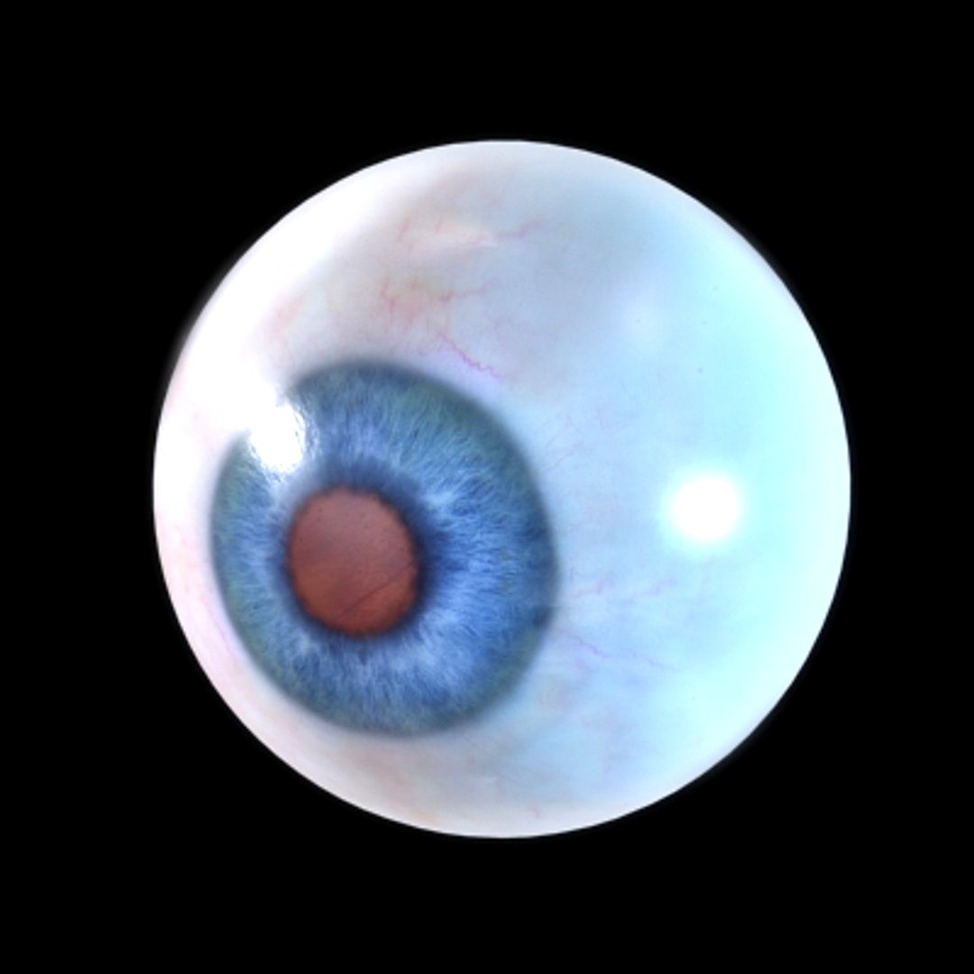 eyeball