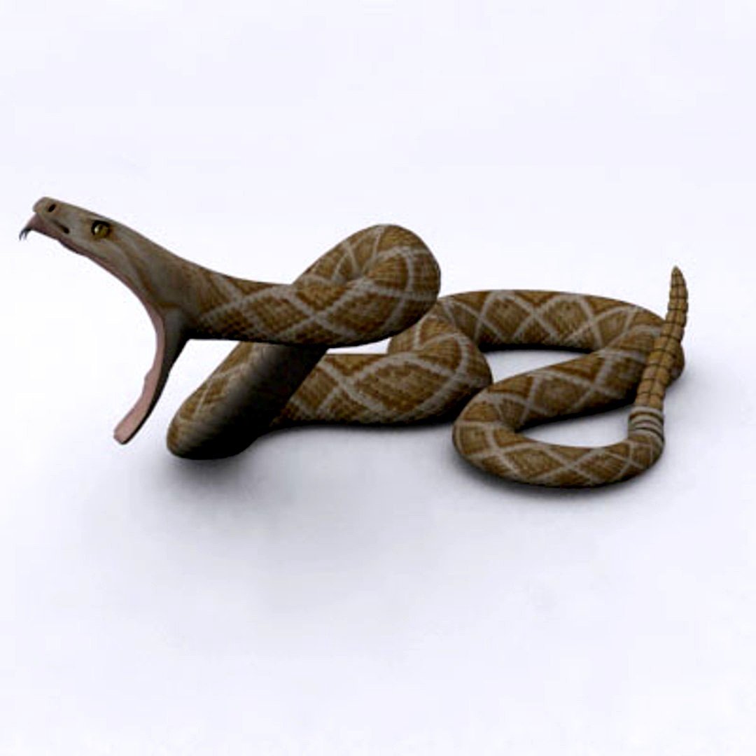 rattlesnake poses