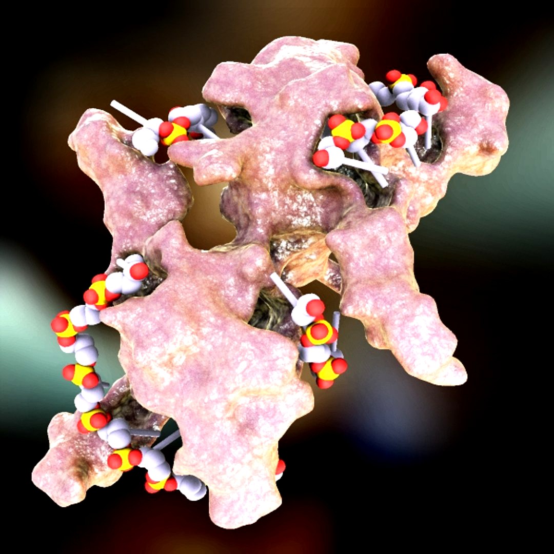 DNA Binding Protein