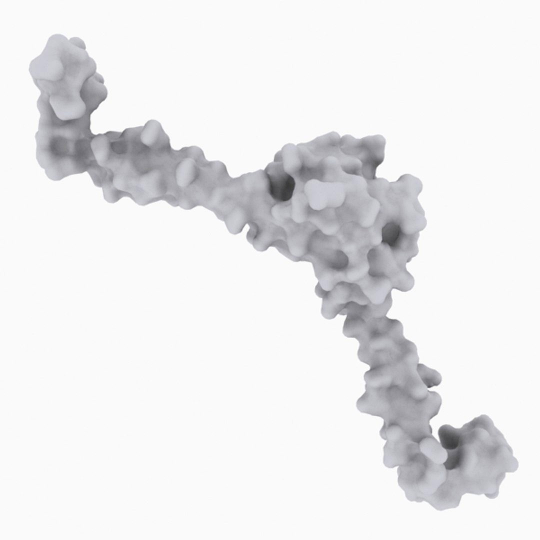 DNA-Binding Protein