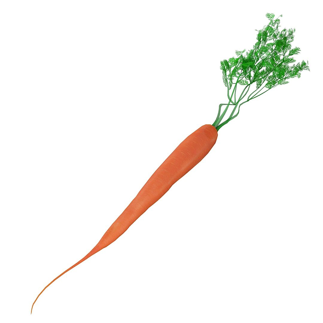 Carrot