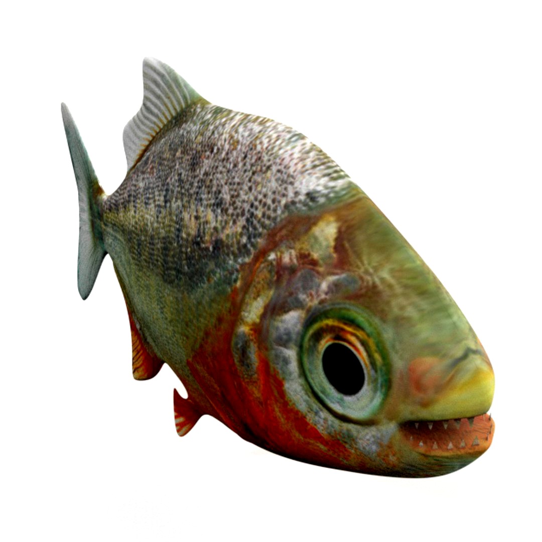 Piranha