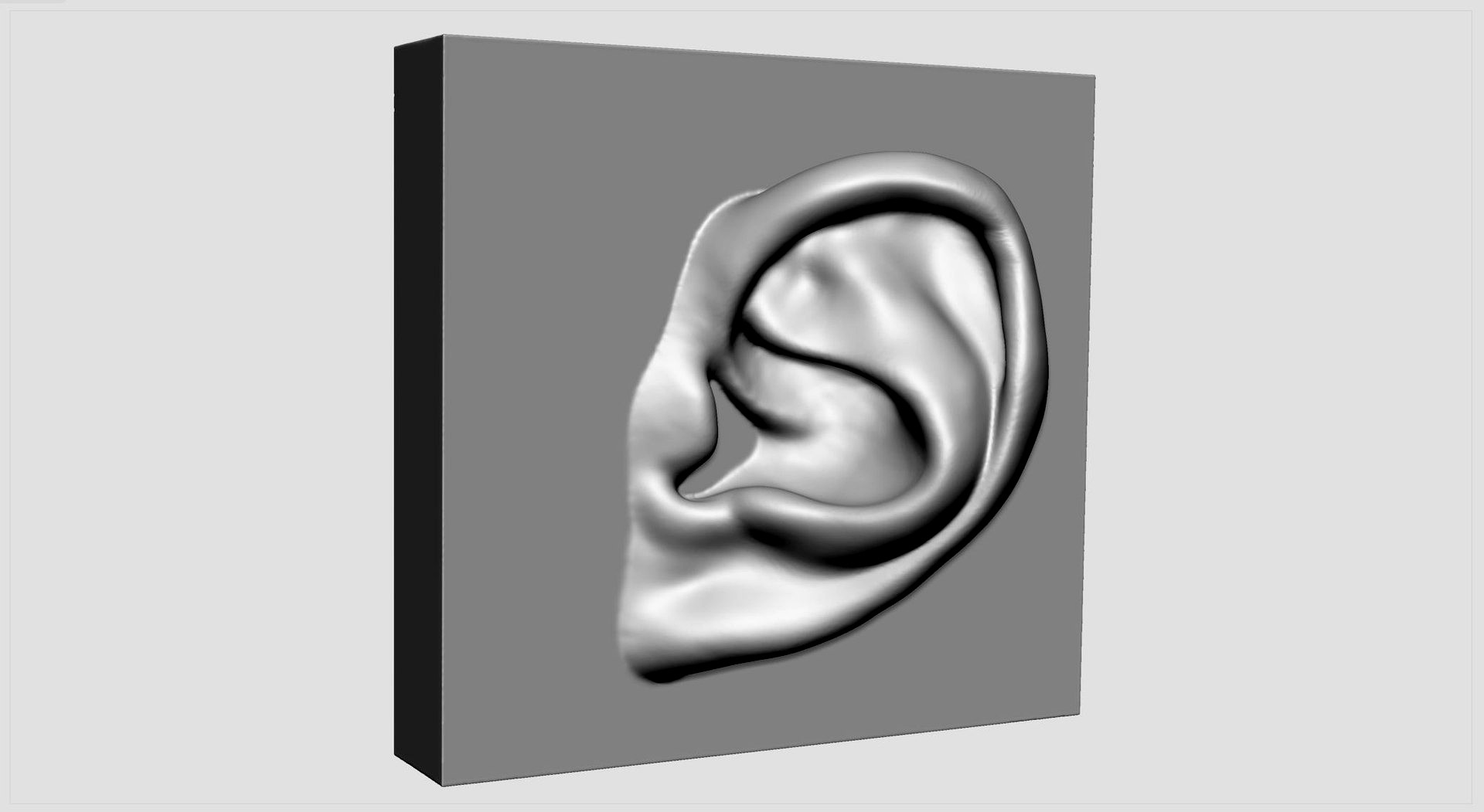 Ear Printable