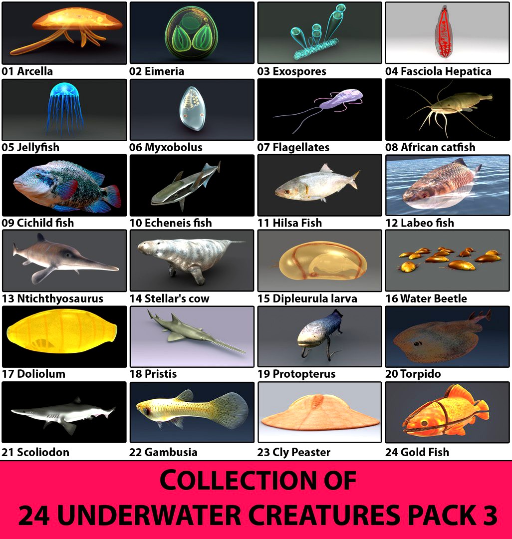 Collection of 24 under water creatures PACK - 3