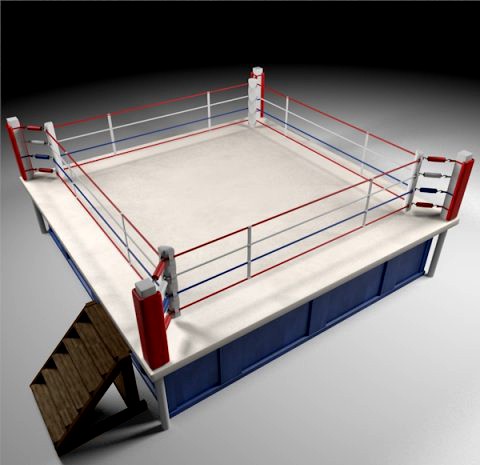 Box Arena 3D Model