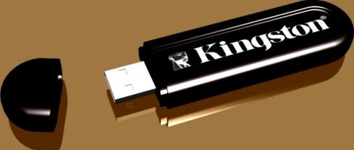 Kingston usb 3D Model