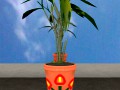 Download free Diying Plant 3D Model