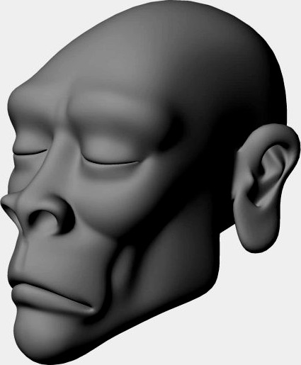 African Head 3D Model