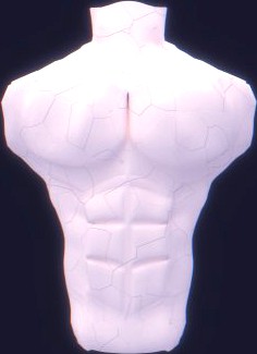 Male Bust 3D Model