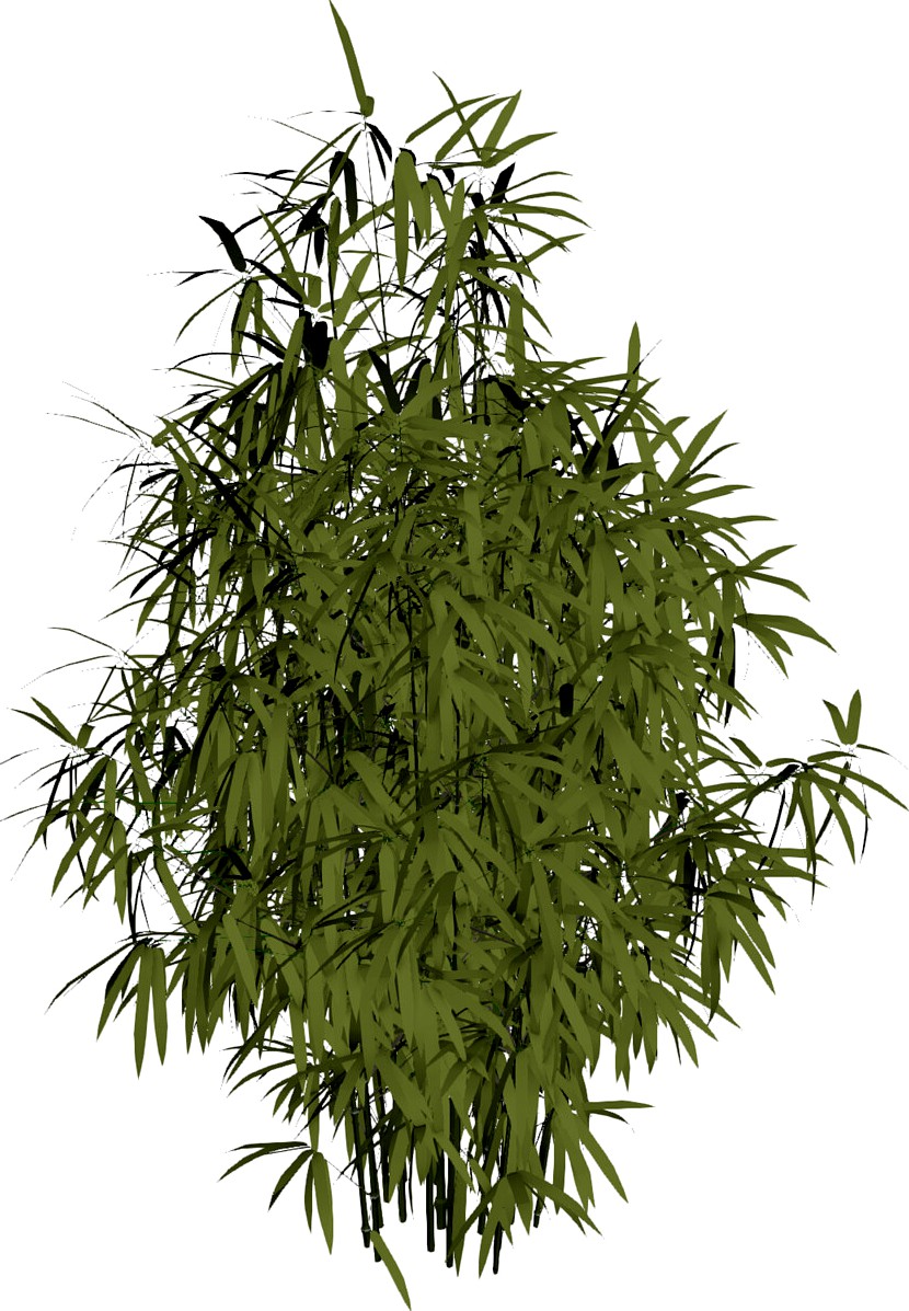 Bamboo Cluster Small