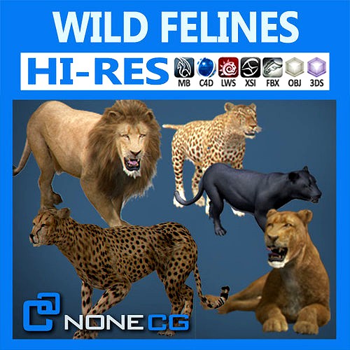 Pack - Wild Felines