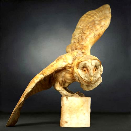 Owl Photorealistic Posed