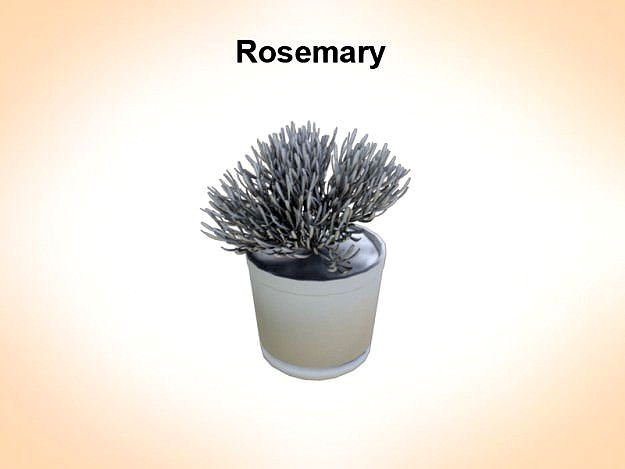 Rosemaryn