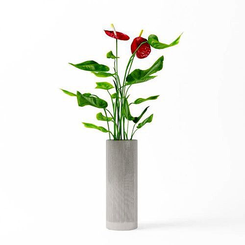 Red Flower With Green Leaves In A White Vase