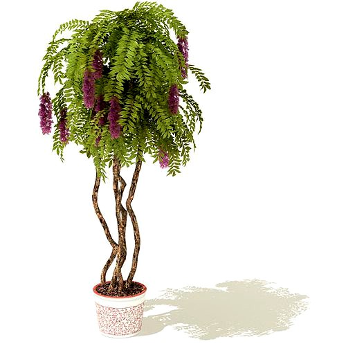 Potted Tree With Purple Blossoms