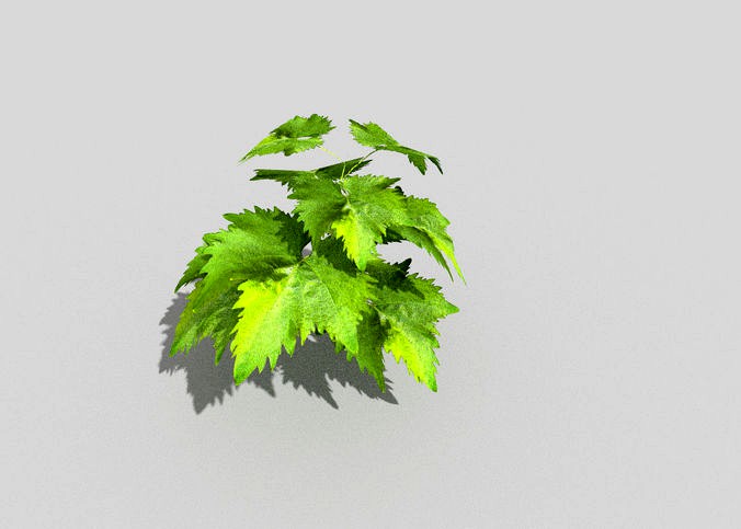 low poly ground plant