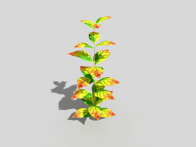 low poly ground plant