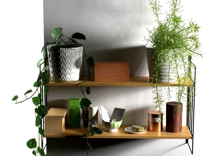 Plants and Vases on Shelf