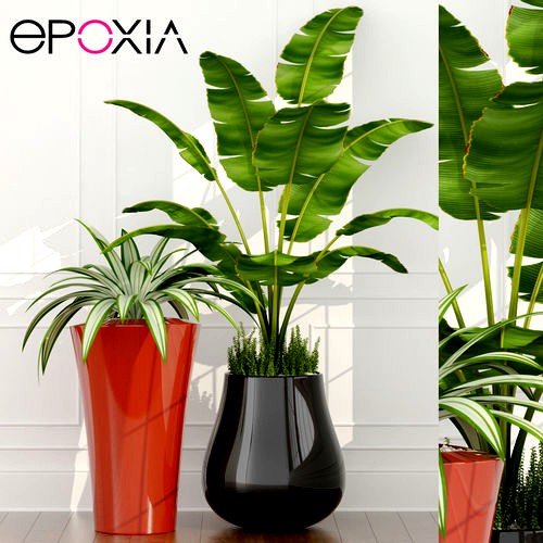 plant 45 epoxia planters 02