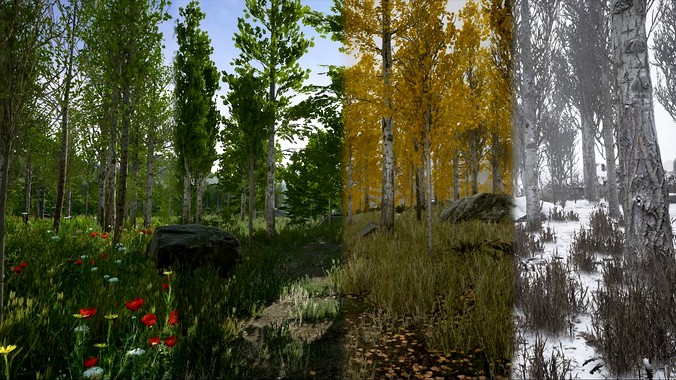 Scanned Poplar-Aspen Forest with Seasons for Unreal Engine 4 - 5
