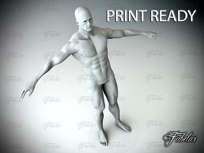 Male Body Printable | 3D