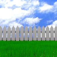 Picket Fence and Grass Scene