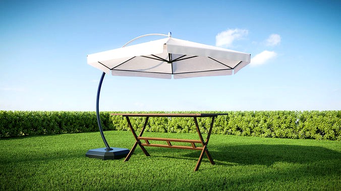 Garden Umbrella and Table