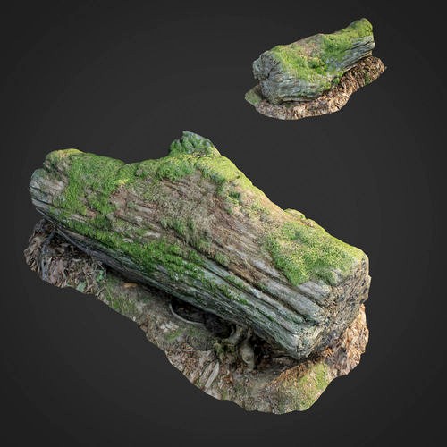 3d scanned nature forest stuff 001
