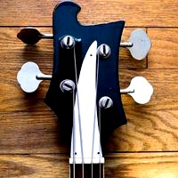 Rickenbacker 4001/4003 Bass Guitar Truss Rod Cover