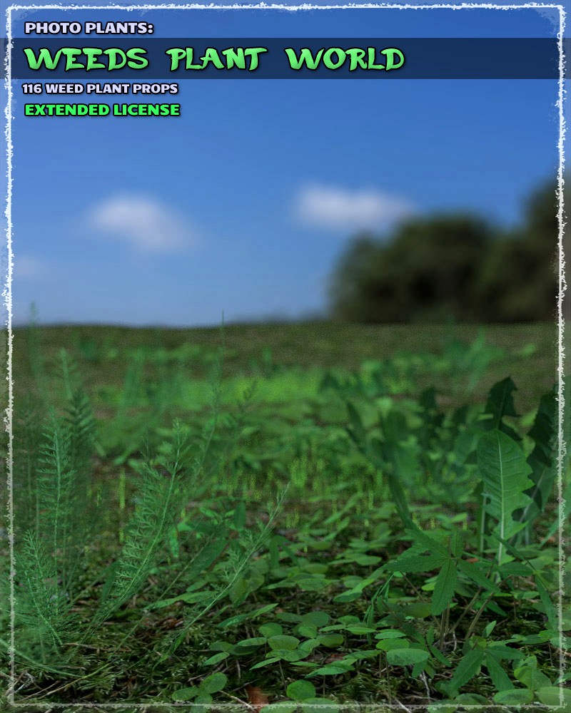 Photo Plants: Weeds Plant World - Extended License