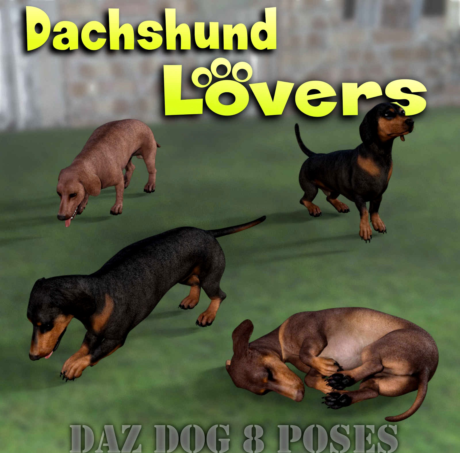 DACHSHUND Lovers Poses for Dachshund Breed (Daz Dog 8)