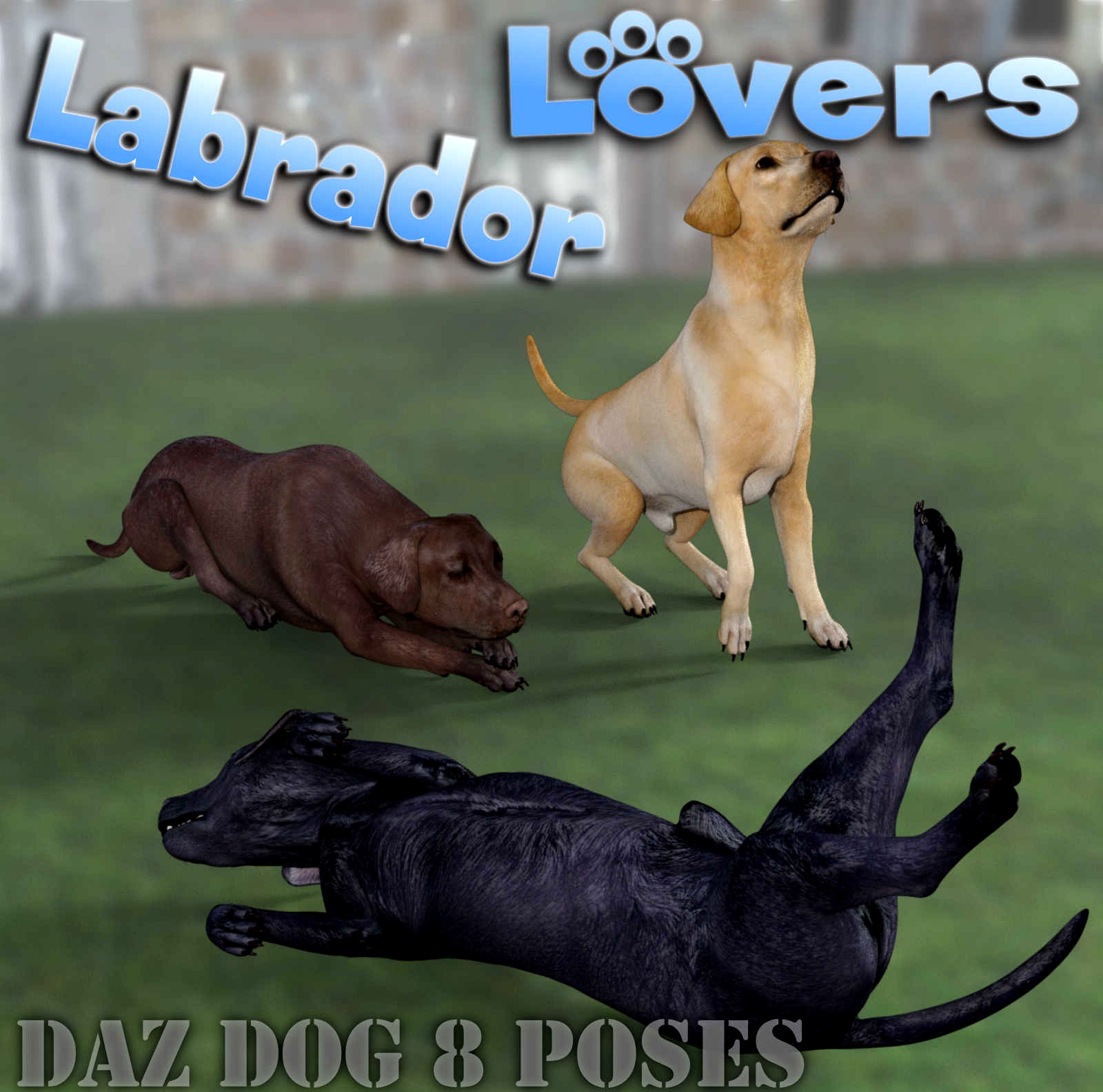 LABRADOR Lovers Poses for Labrador Breed